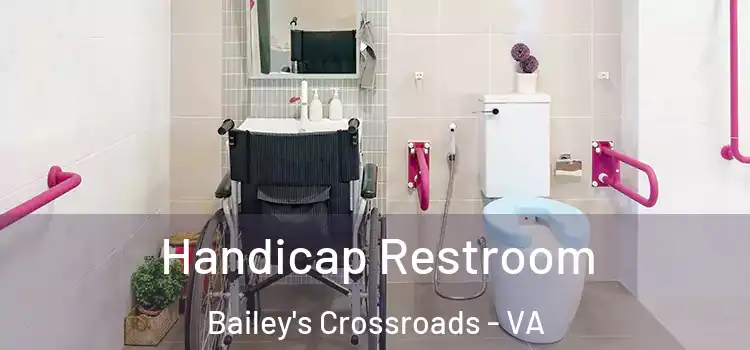  Handicap Restroom Bailey's Crossroads - VA